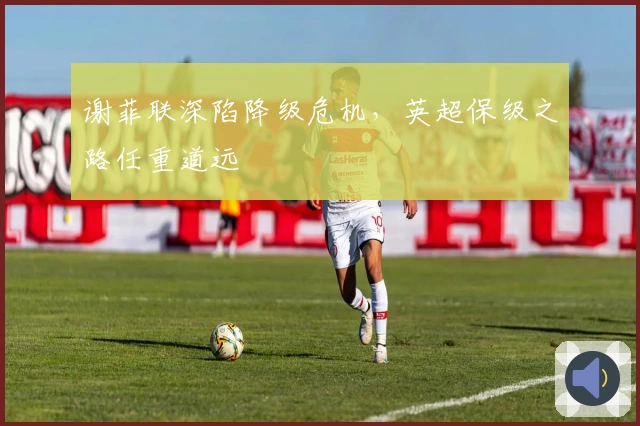 谢菲联深陷降级危机，英超保级之路任重道远